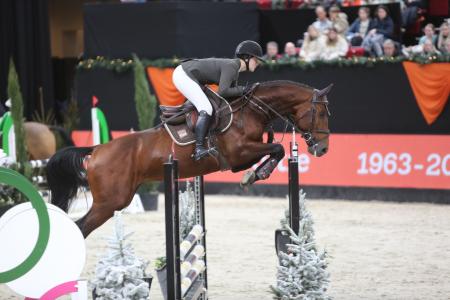 Hengstencompetitie Groningen