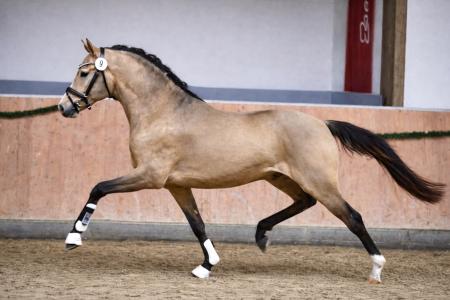 gonna be special draf